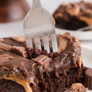 Peanut Butter Chocolate Cake Ball Bars