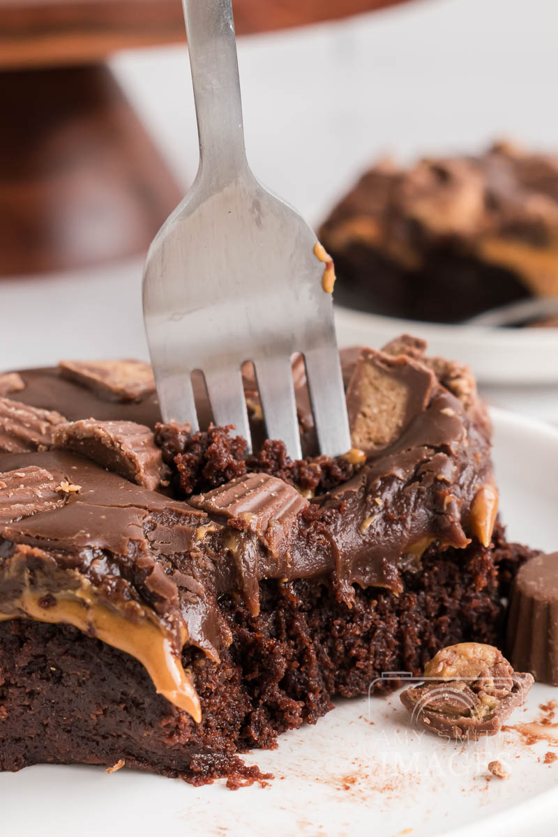 Peanut Butter Chocolate Cake Ball Bars