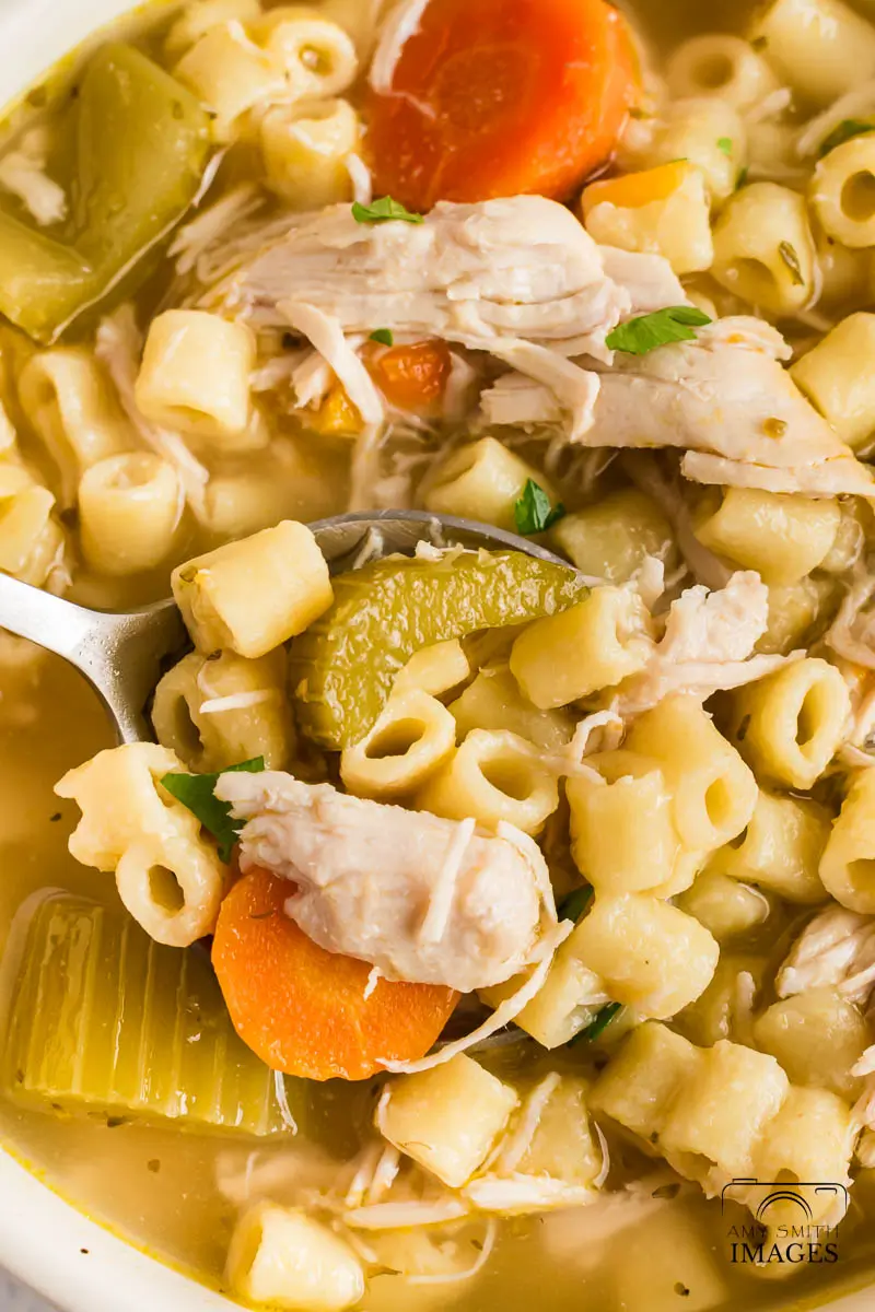 Crockpot Chicken Ditalini Soup