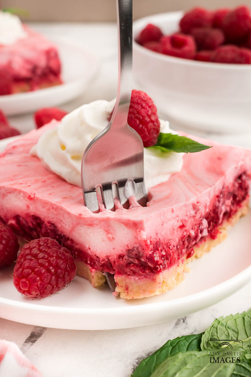 Swirled Raspberry Salad